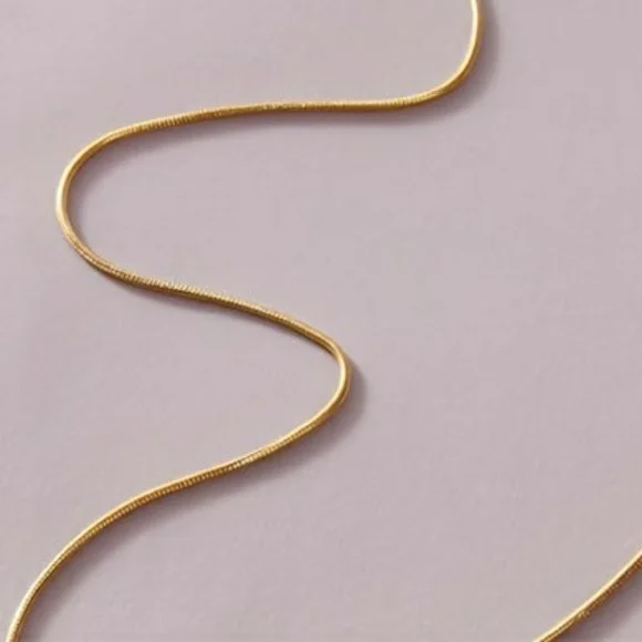 Simple Snake Bone Chain - Picture 6 of 6